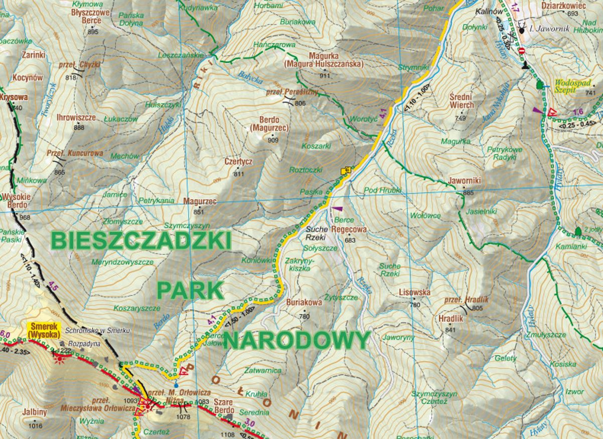 Bieszczady Polonynas 