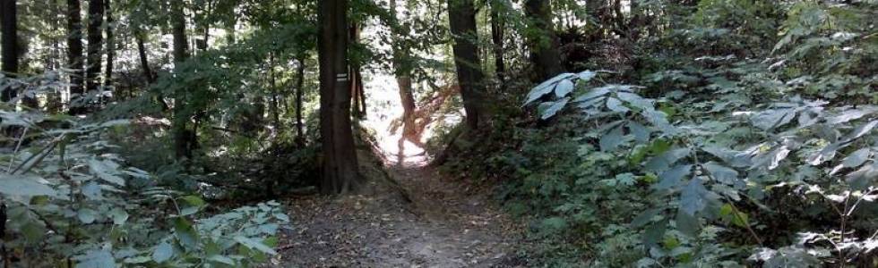 Ojcowski Park Narodowy - Grota Łokietka