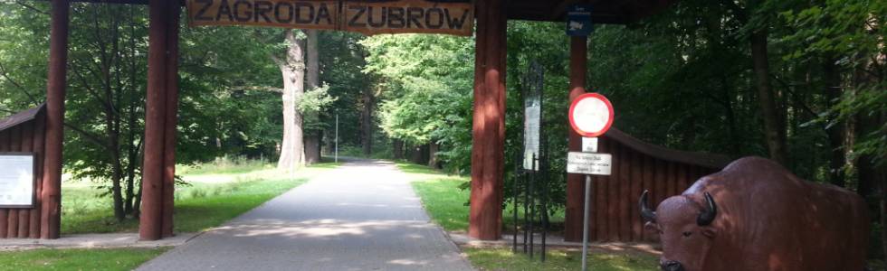 Pszczyna, Strumień