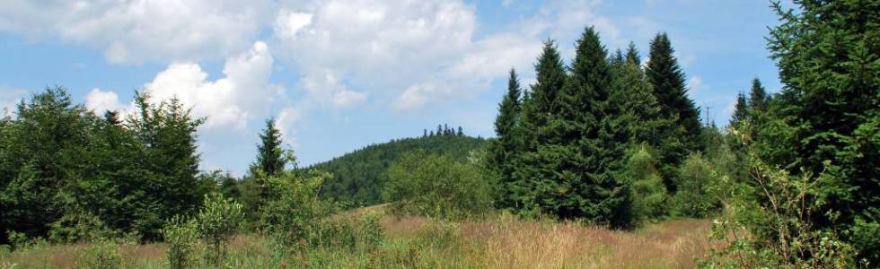 BESKID WYSPOWY - Kiczora Kamienicka, Wielki Wierch