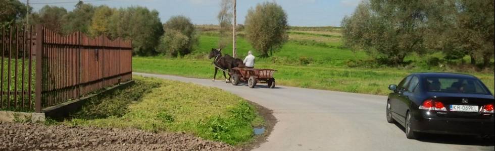 BARANÓWKA ROLKI