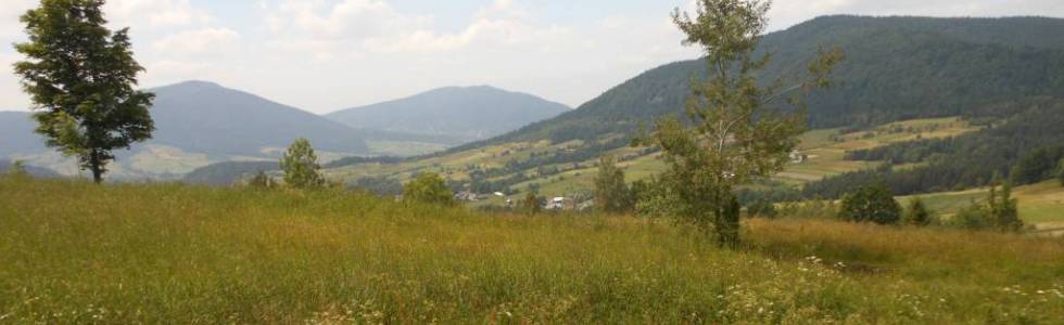 Beskid Wyspowy 2014 MOGIELICA