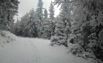 w stronę Hali pod snieznikiem