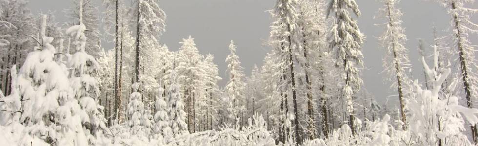 7. Przysłop (900 m n.p.m.) - Wierch Równiański (1160 m n.p.m.)