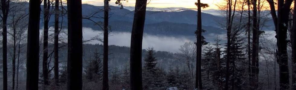 Beskid Niski: Krzywa - Wysowa-Zdrój