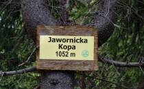 Jawornicka Kopa