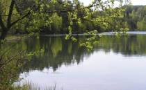 Jezioro lobeliowe Rekówek