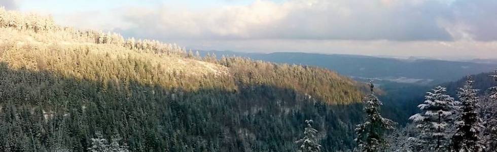 24-11-2015 Góry Krucze-Blażejów-Graniczny Grzbiet-Uniemyśl-Błażejów