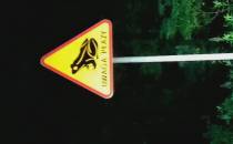 ostrzeżenie przed potężnymi żabami