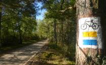 Oznakowanie szlaków w okolicach Jeziora Wdzydze