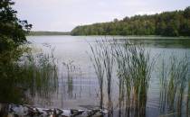 jezioro Jeleń