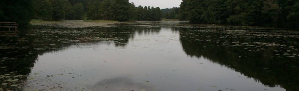 Rajd Mazury-Podlasie: Odcinek 6. cz. 1/2. Jezioro Hańcza - Suwałki