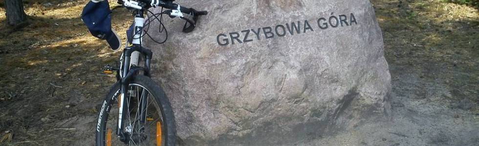 Petle poprzez Grzybową Górę