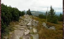 Widok na Tępy Szczyt z drogi na Śląskim Grzbiecie