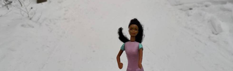 Zimowa Barbie na Rysiance