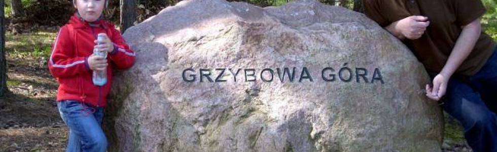 Pętle poprzez Grzybową Górę