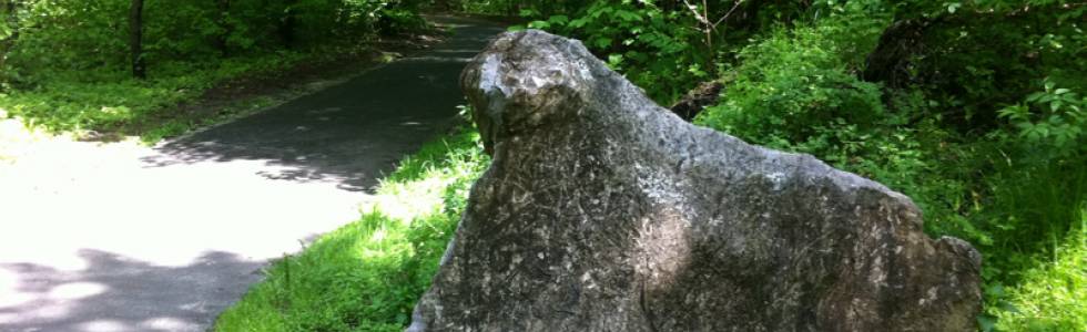 Zmodyfikowana trasa do lasu wolskiego i nazad