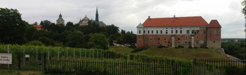 Sandomierz-Góry Pieprzowe-winnice-sady-Sandomierz