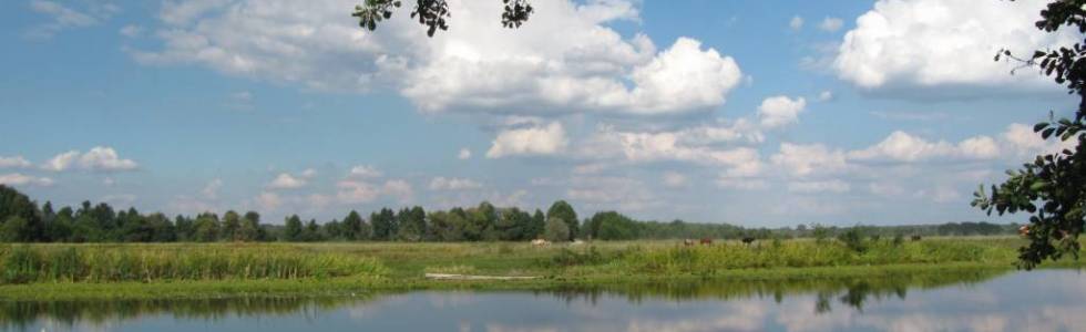 Nadbużański Park Krajobrazowy