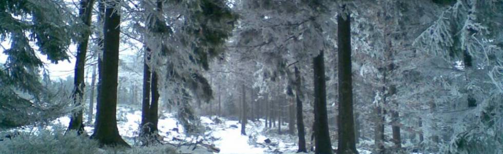Zimowa wyprawa na Wielką Sowę
