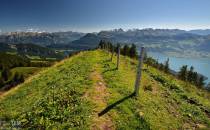 Rigi - na szlaku