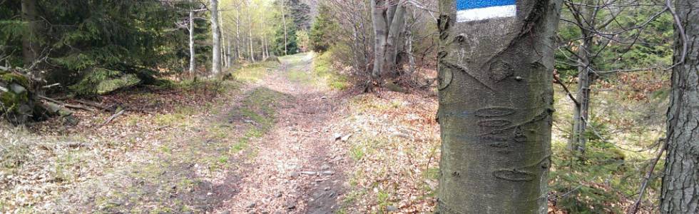 Czupel 933 m n.p.m. – Beskid Mały - KGP