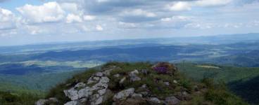 Wołosate - Przełęcz Bukowska - Rozsypaniec - Halicz - Tarnica - Wołosate