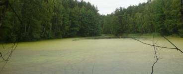 Bydgoszcz Myślęcinek- Tuchola