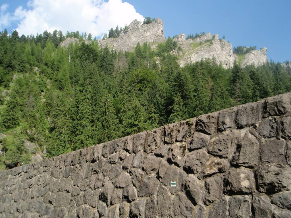 Zdjęcie 3