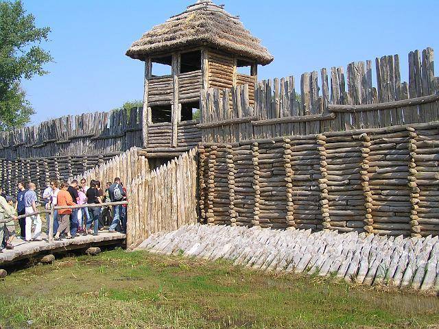 Zdjęcie 6