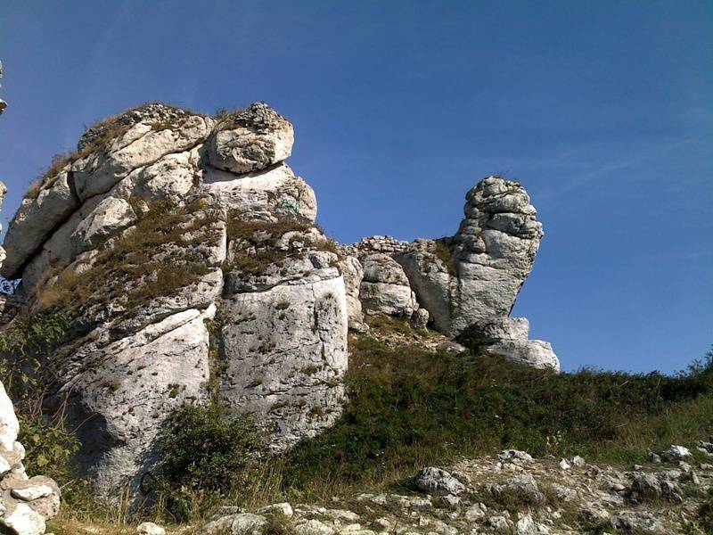 Zdjęcie 5