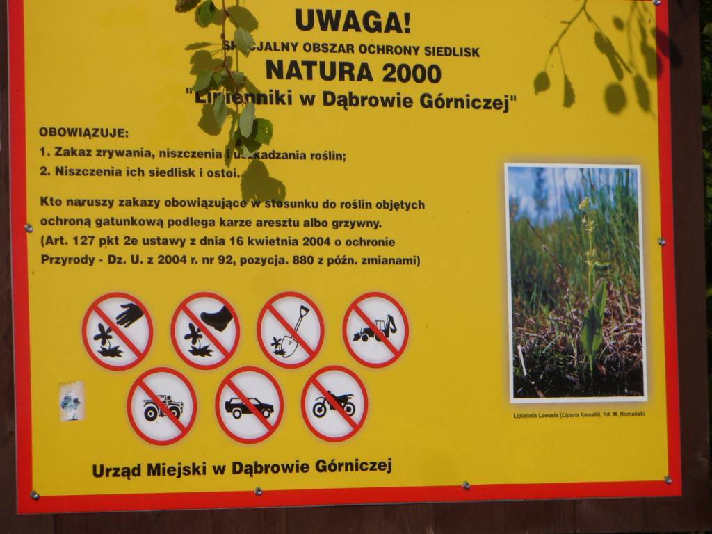 Zdjęcie 2
