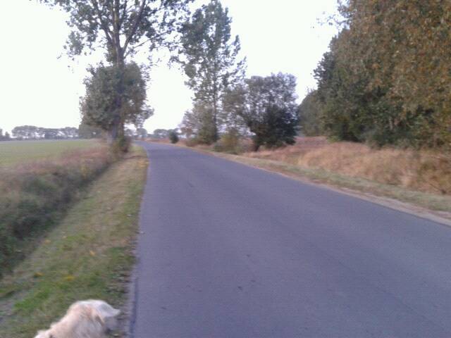 Zdjęcie 2