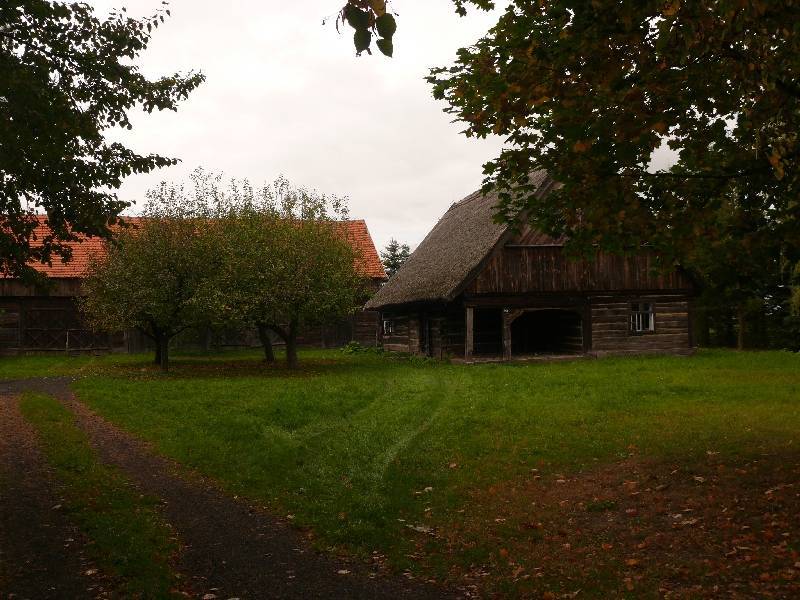 Zdjęcie 3