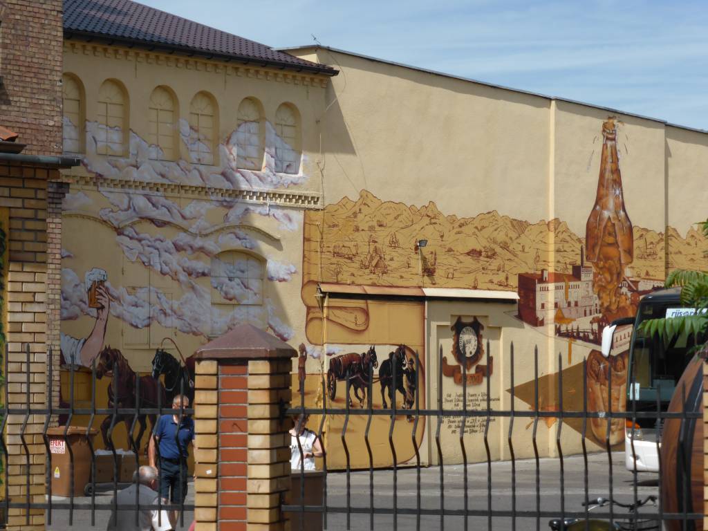 Zdjęcie 5