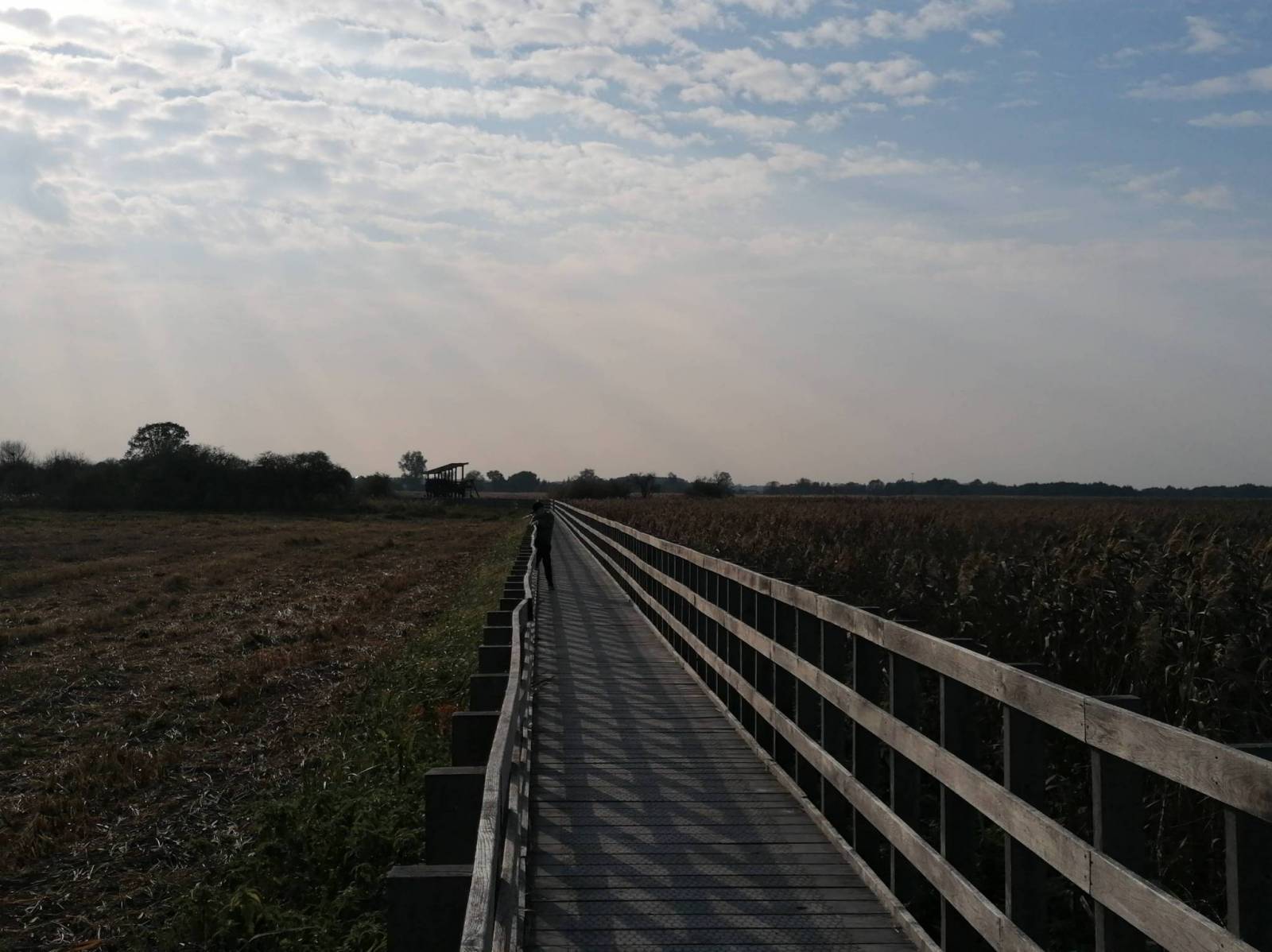 Zdjęcie 5