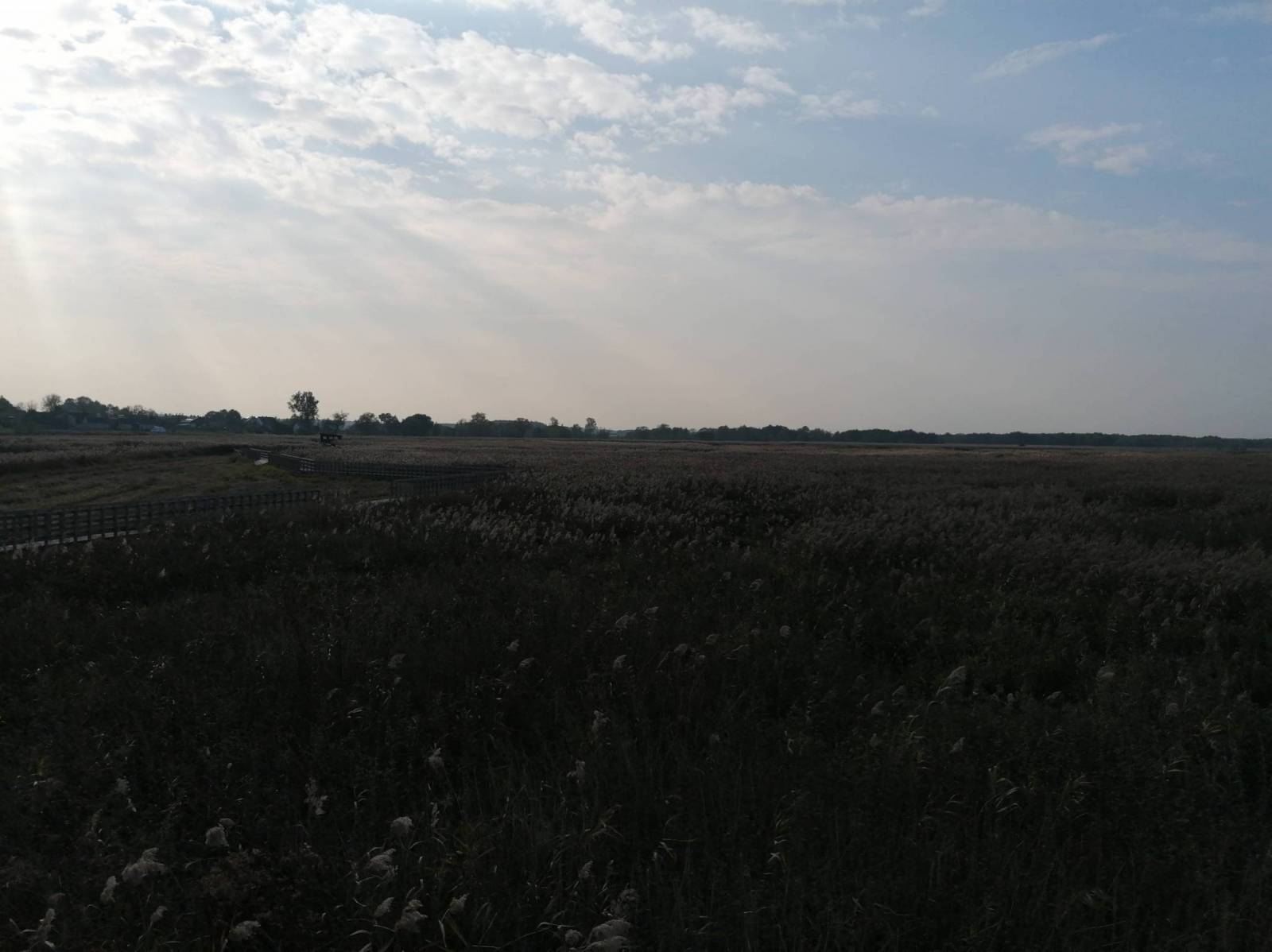 Zdjęcie 6