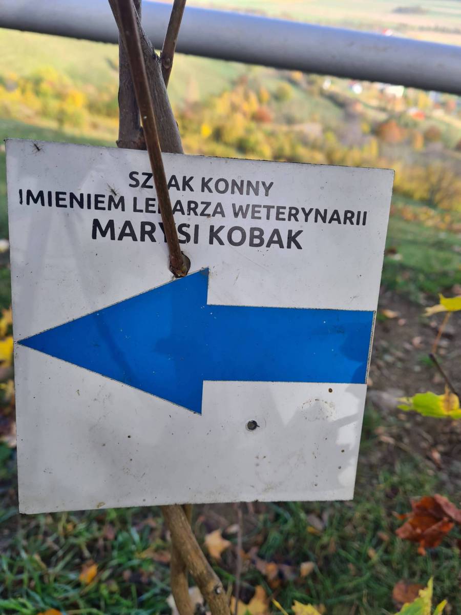 Zdjęcie 3