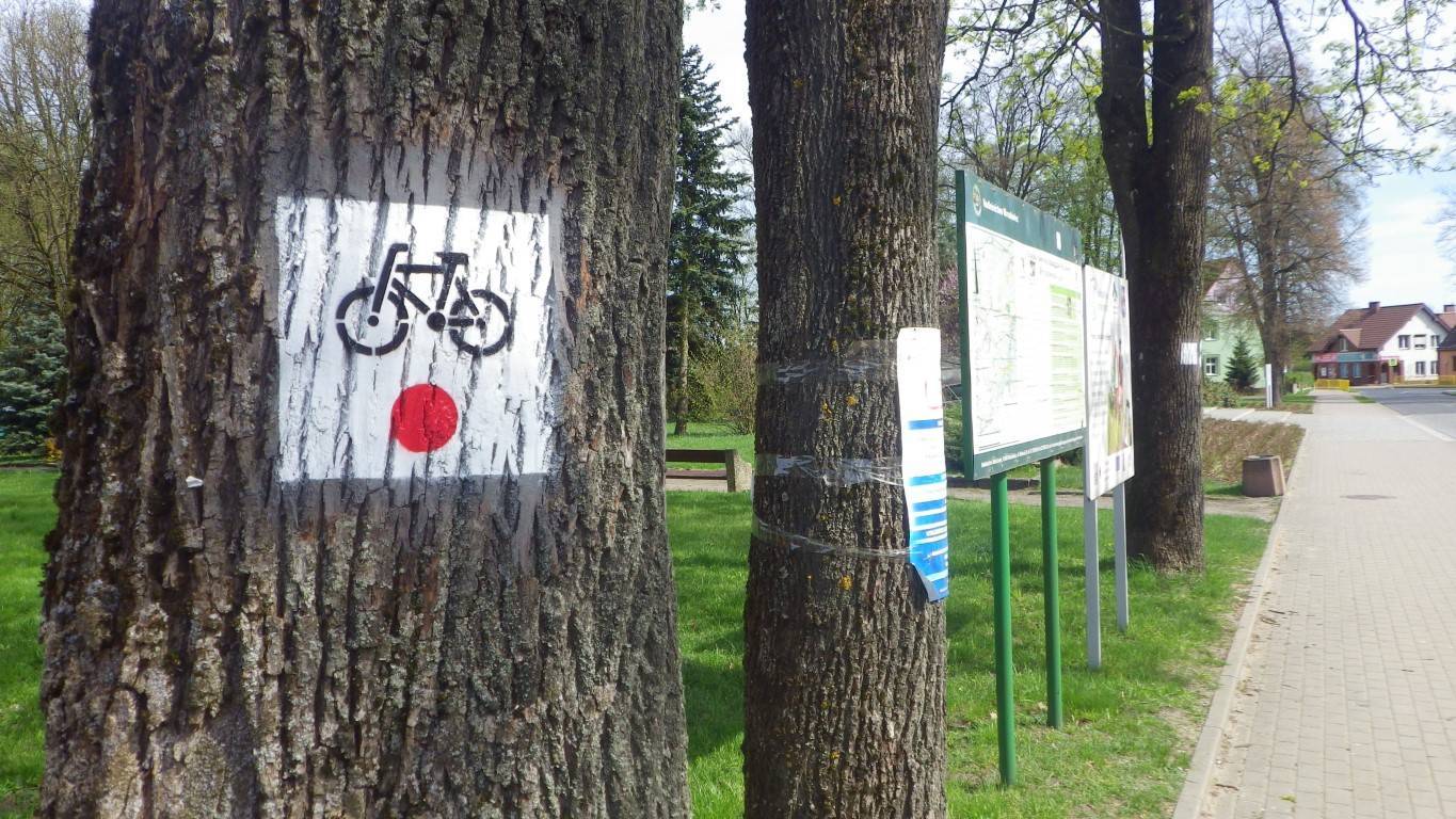Zdjęcie 2