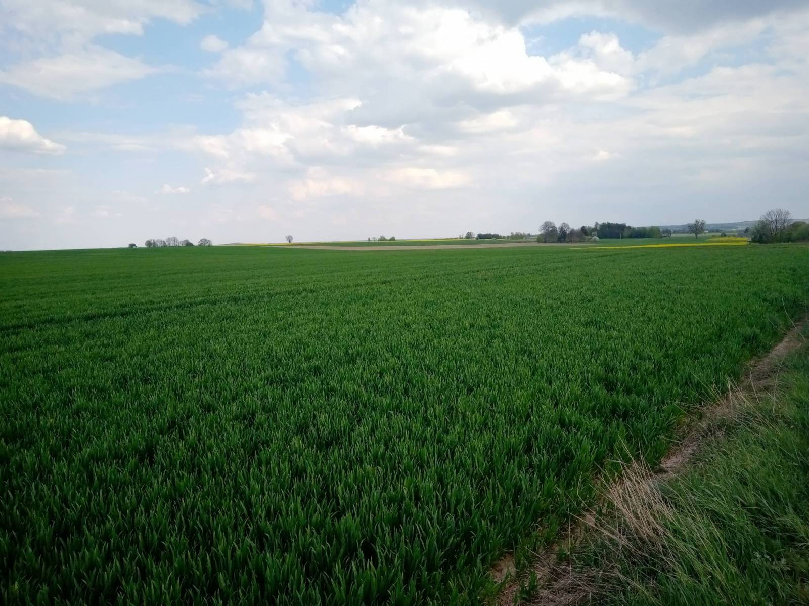 Zdjęcie 4