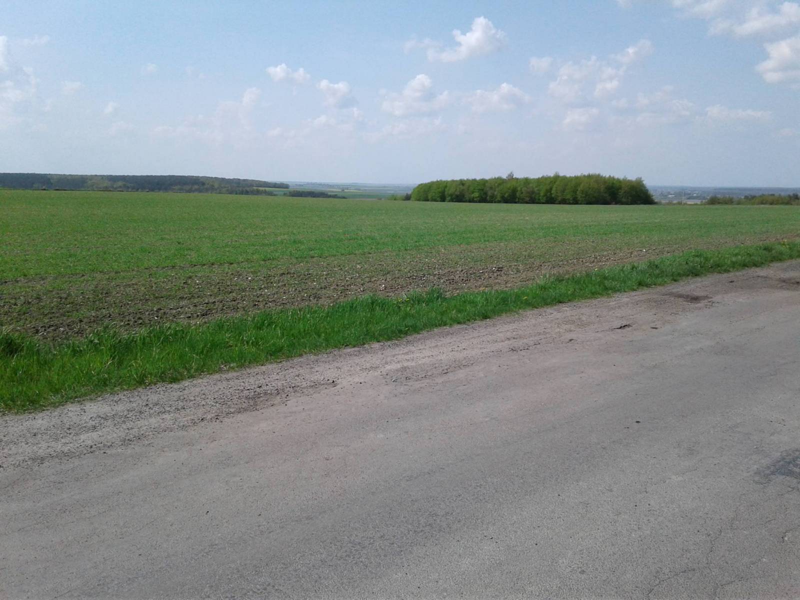 Zdjęcie 5