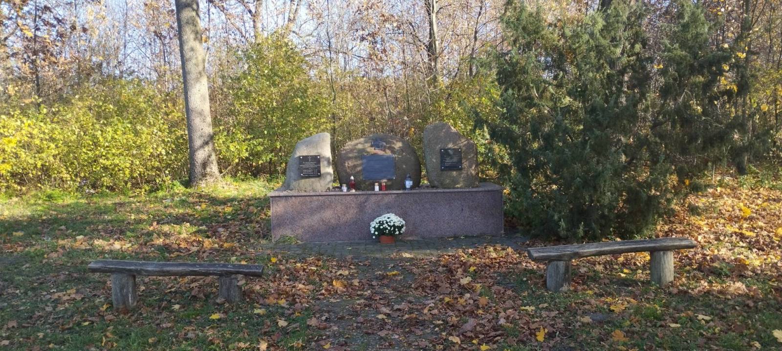 Zdjęcie 2