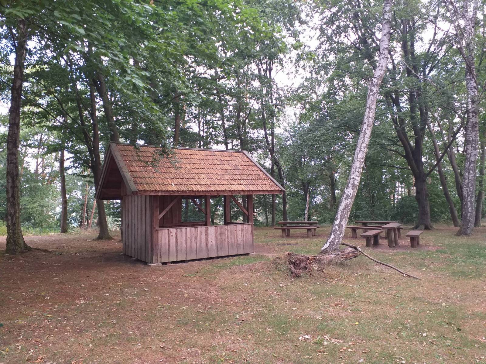Zdjęcie 4