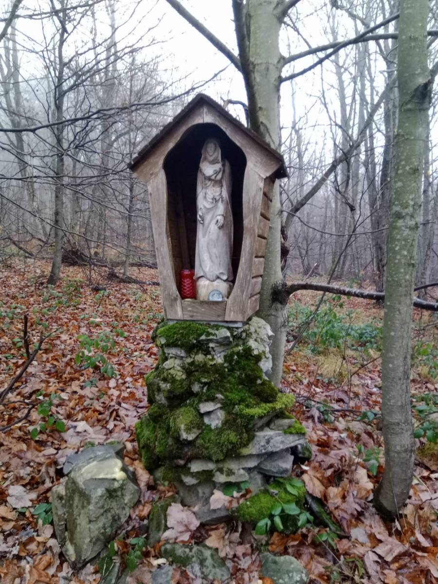Zdjęcie 6