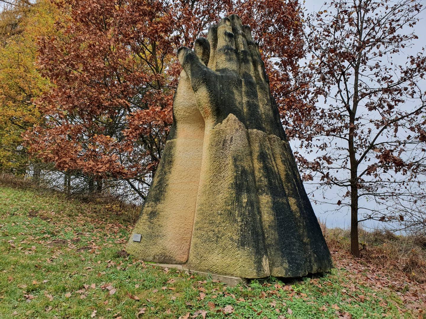 Zdjęcie 2
