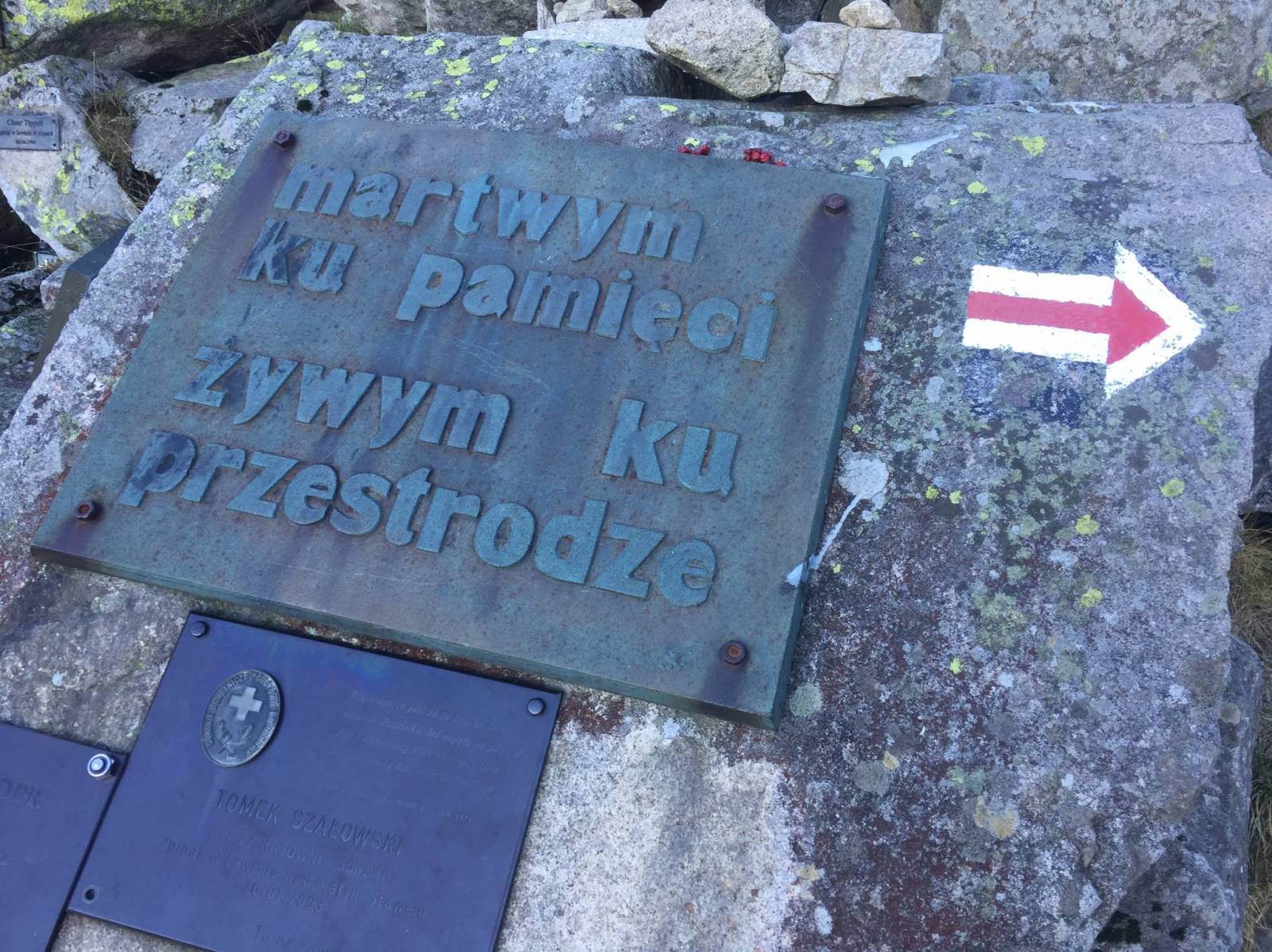 Zdjęcie 5