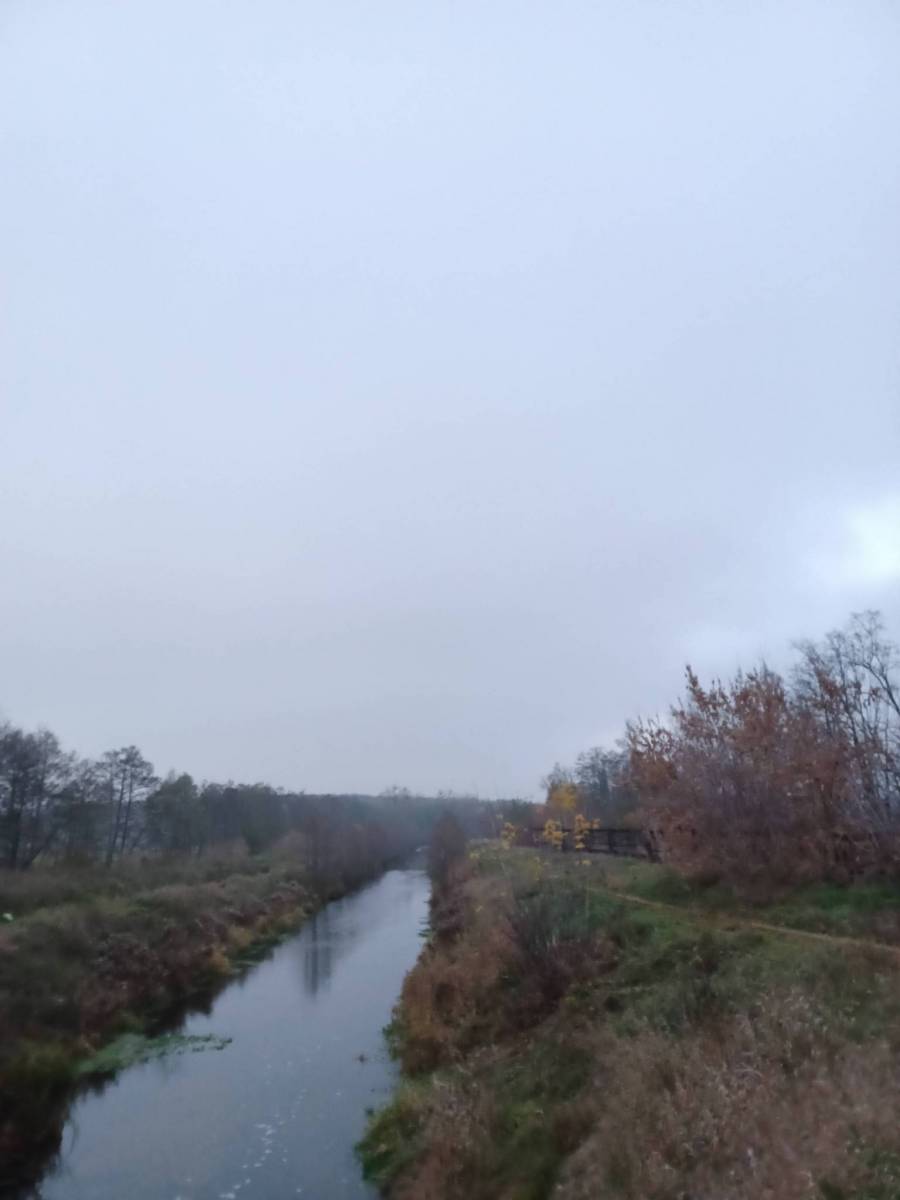 Zdjęcie 2