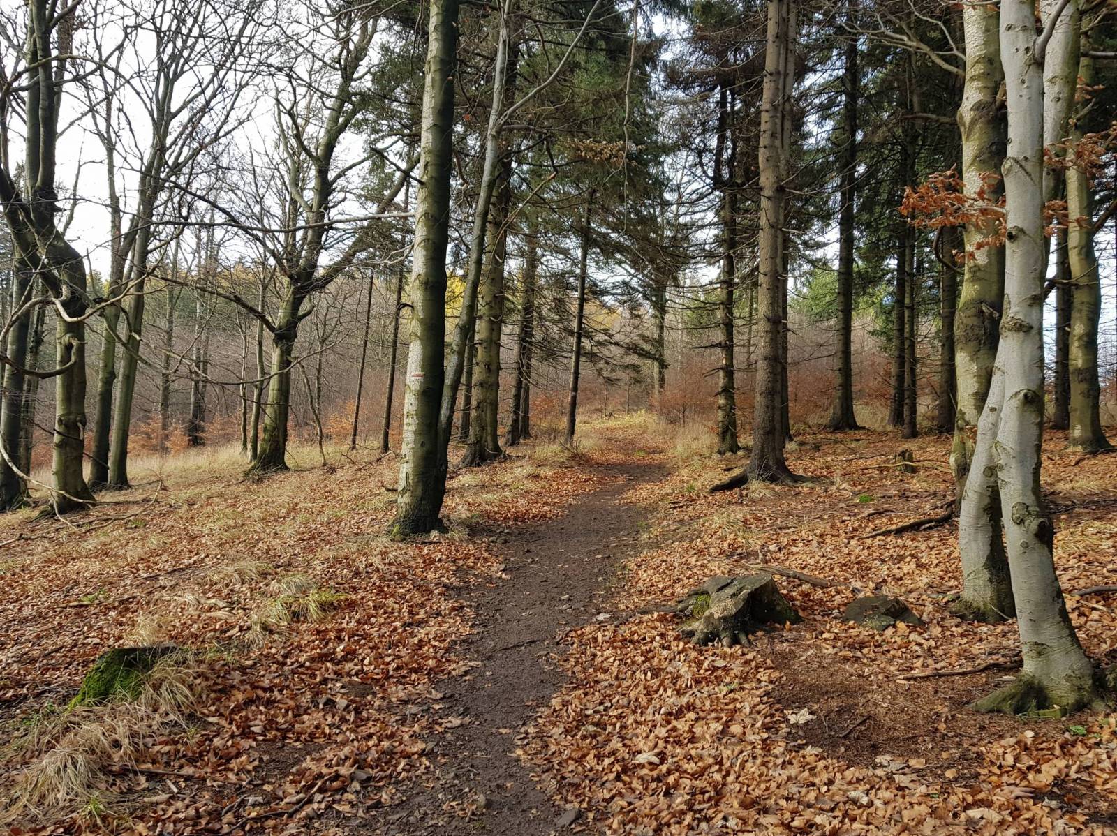 Zdjęcie 5