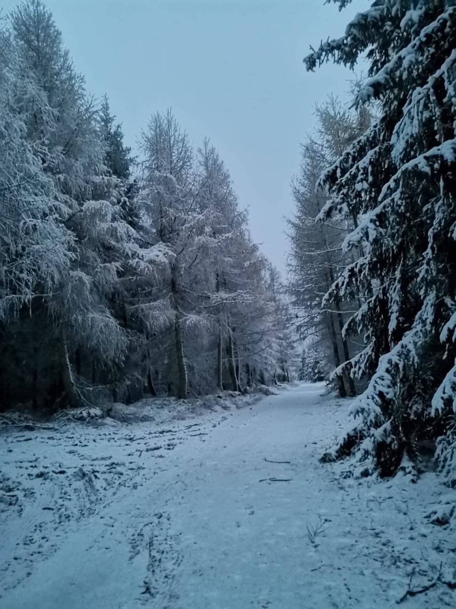 Zdjęcie 5