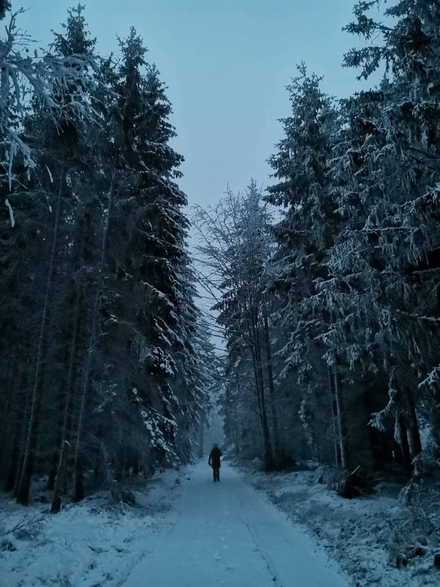 Zdjęcie 6